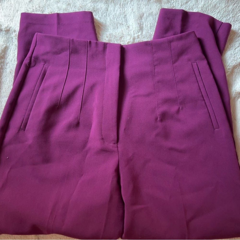 Zara pants